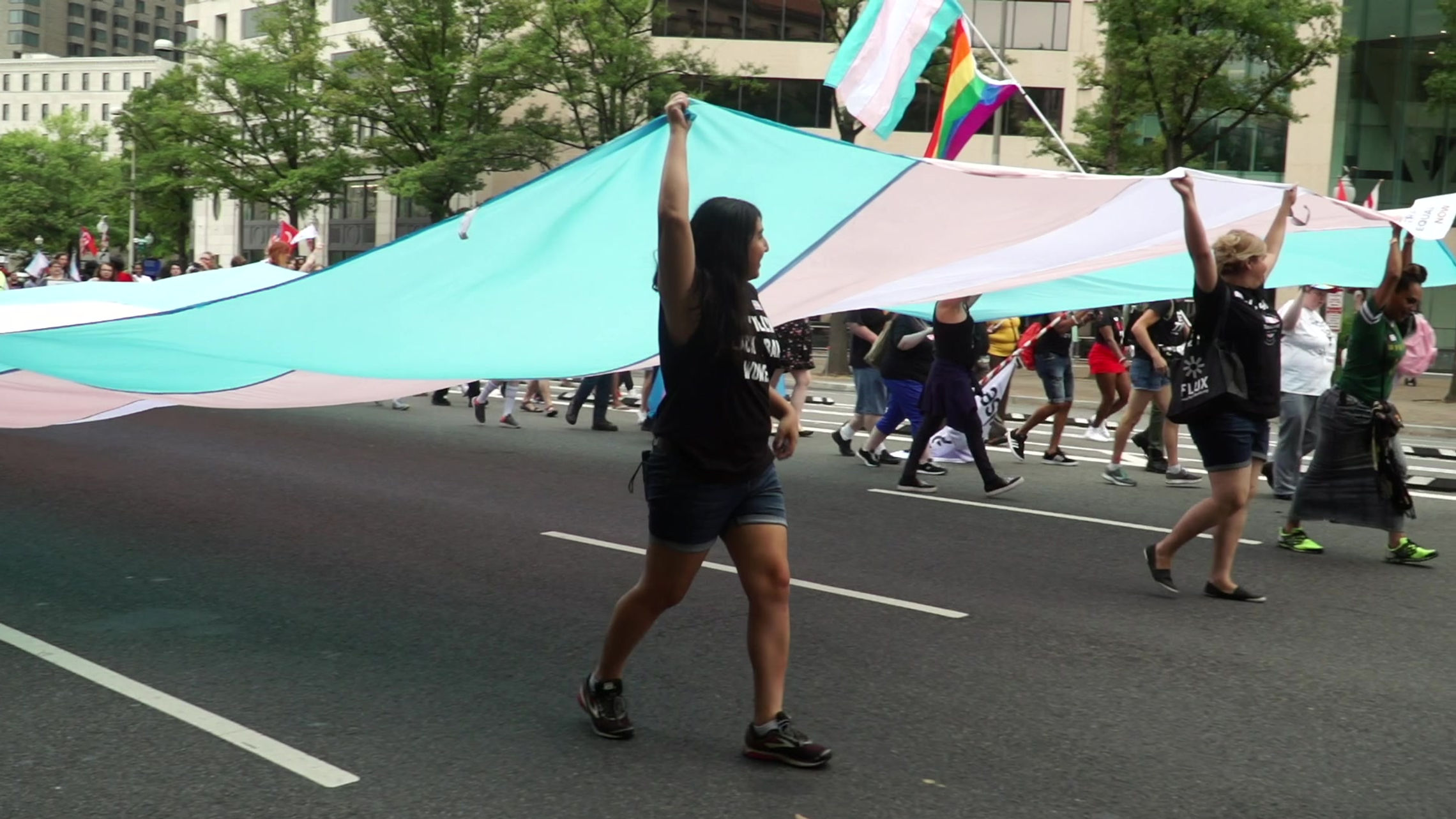 National Trans-Visibilty March on DC 2019
